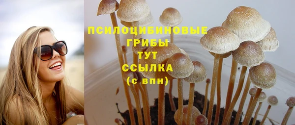 прущая мука Богородск