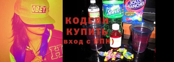 шишки Богородицк
