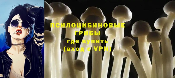 бошки Богданович