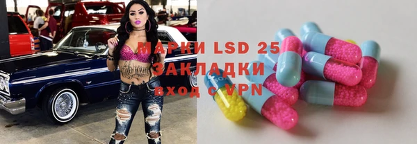 шишки Богородицк