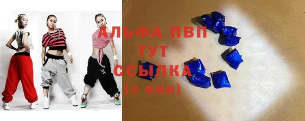 шишки Богородицк