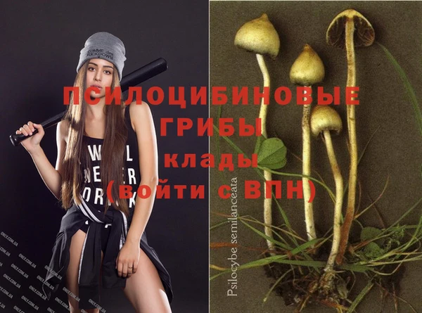 шишки Богородицк