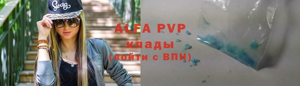 шишки Богородицк