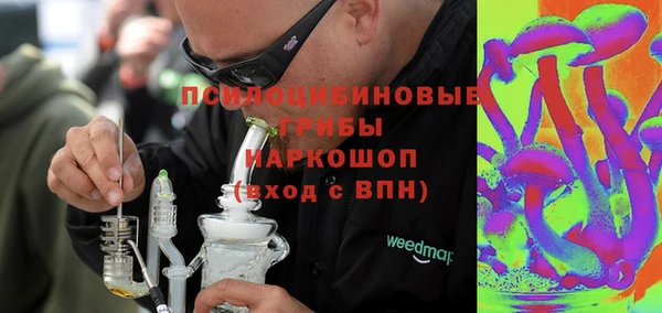 прущая мука Богородск