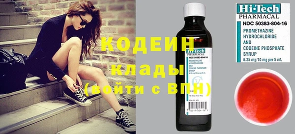 шишки Богородицк
