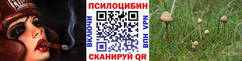 Галлюциногенные грибы GOLDEN TEACHER  где можно купить наркотик  Дмитров 